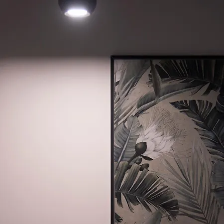 Cammarhouse 아파트 *